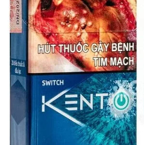 Vietnamese Kent Switch - 1 Carton (10 Packs)